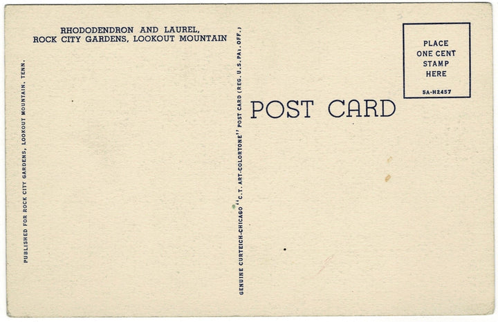 1930s Rhododendron Lookout Mountain Georgia Vintage Postcard, back view.