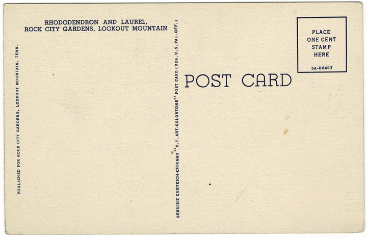 Vintage Postcard.