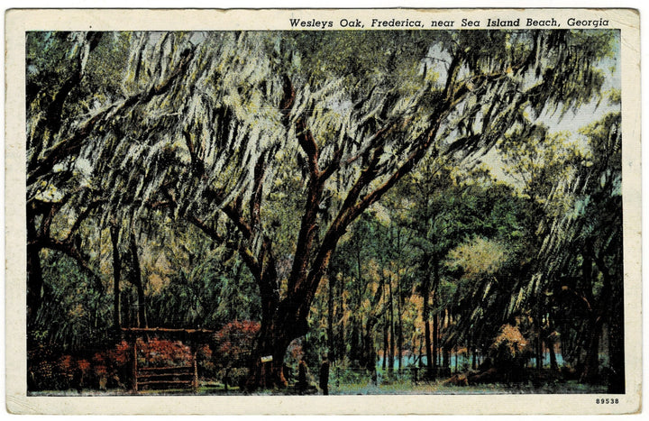 Vintage Postcard.