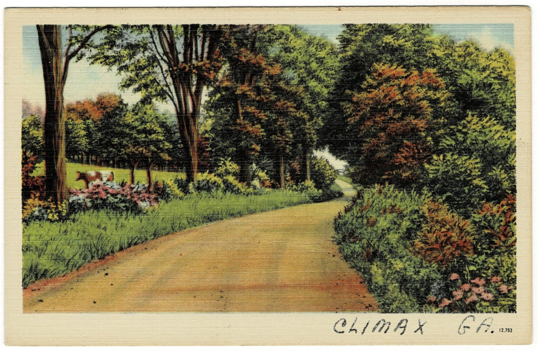 1920s Tranquil Road in Climax Georgia Vintage Postcard.