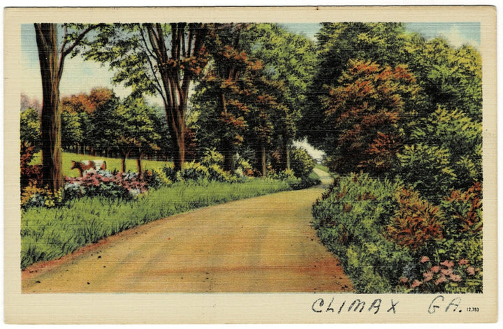 1920s Tranquil Road in Climax Georgia Vintage Postcard.