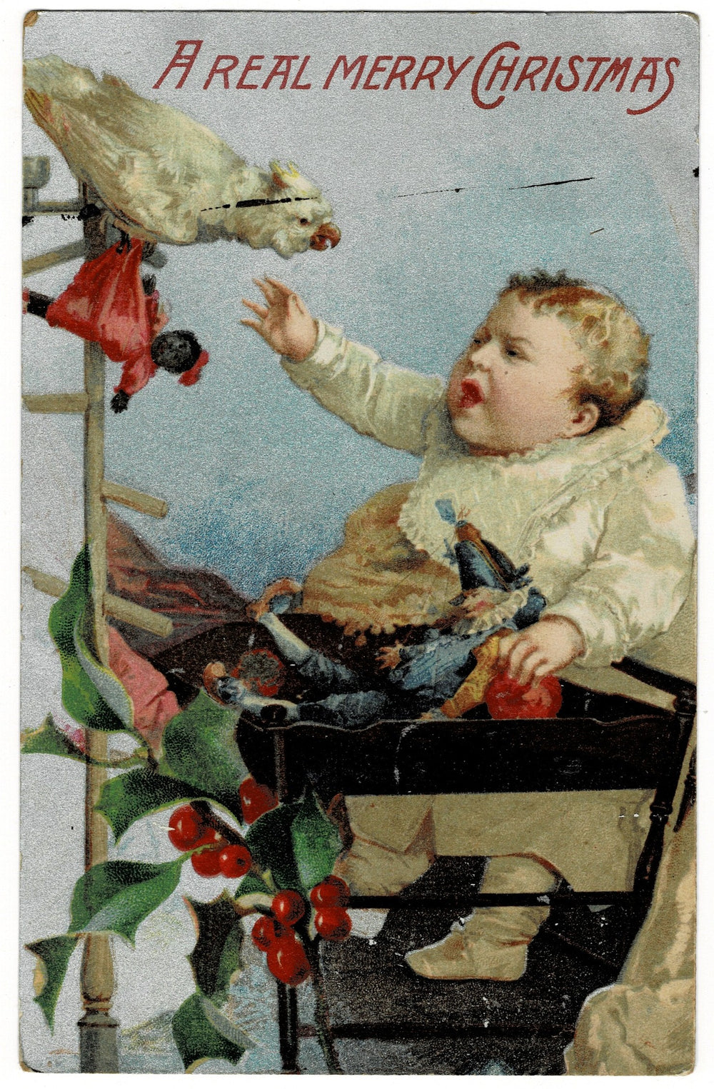 1909 Bird vs. Baby: Holiday Edition Vintage Christmas Postcard.