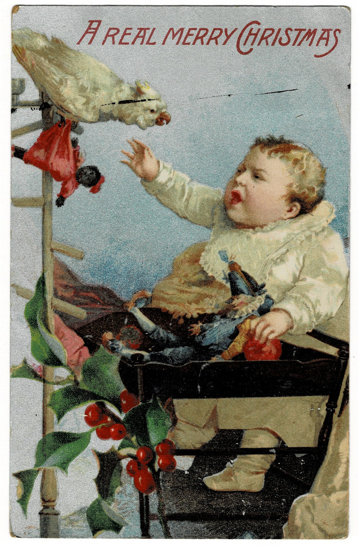 1909 Bird vs. Baby: Holiday Edition Vintage Christmas Postcard.