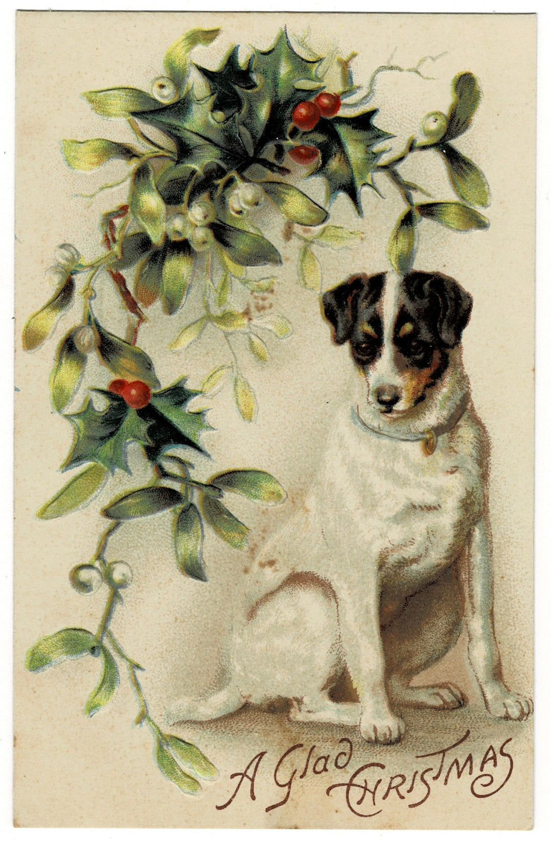 Vintage postcard.