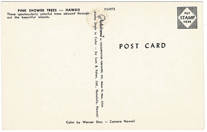 Vintage postcard.