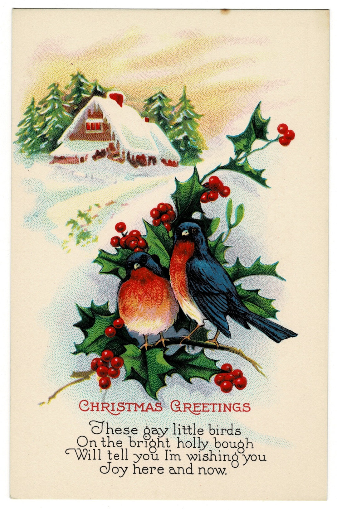 1917 Where Winter Songbirds Warm Your Heart Vintage Christmas Postcard.
