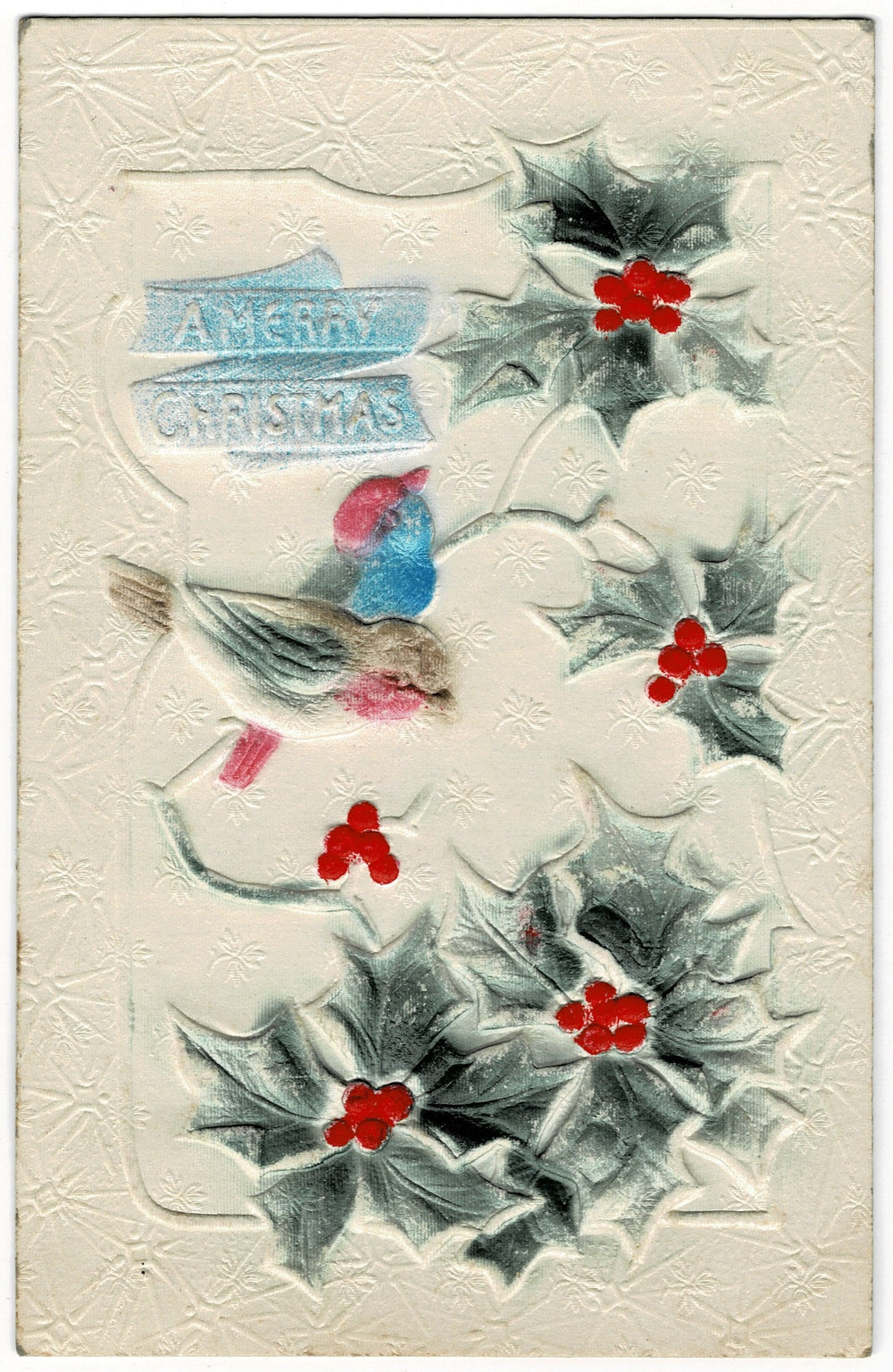 1913 A Winter Bird’s Christmas Blessing Vintage Christmas Postcard.