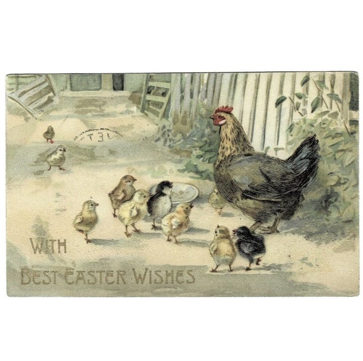 1911 Easter Spring Farm Scene Hen & Baby Chicks Vintage Postcard
