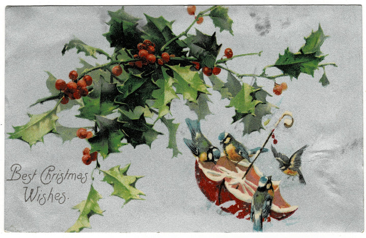 1905 Silvery Snow Scene: Birds in Parasol Vintage Christmas Postcard.