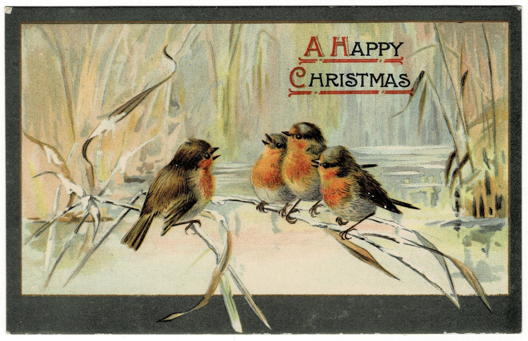 1908 European Robins Relish The Holidays Vintage Christmas Postcard.