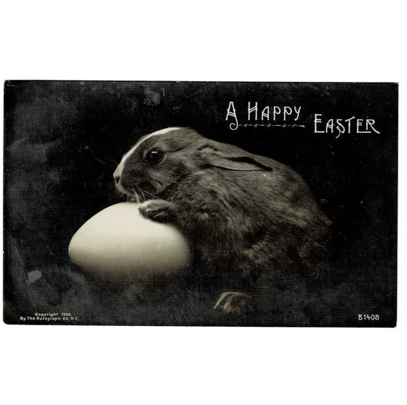 1907 Sweet Easter Bunny & Egg Vintage Easter Postcard RPPC Real Photo