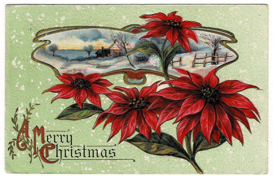 1913 Poinsettia-Inspired Christmas Dreams Vintage Christmas Postcard.