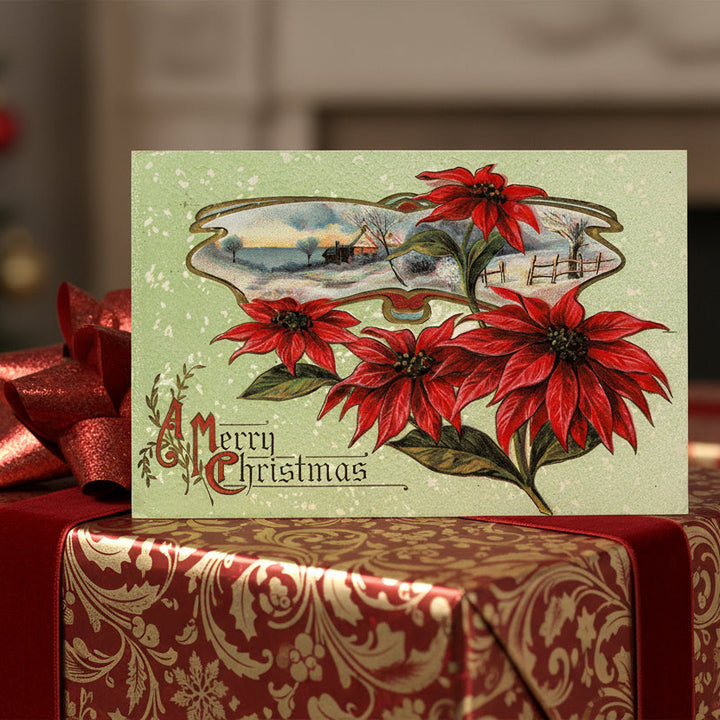 1913 Poinsettia-Inspired Christmas Dreams Vintage Christmas Postcard as a unique gift topper.