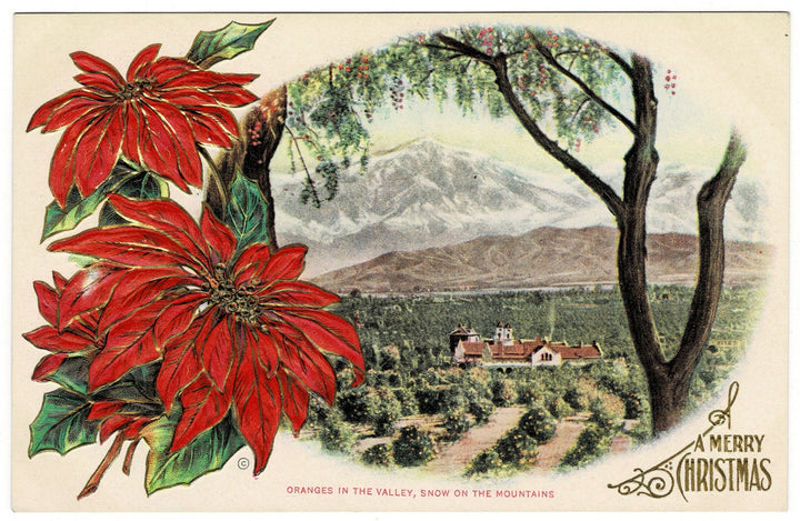 Vintage postcard.