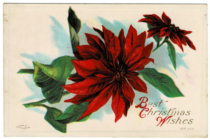 Vintage postcard.