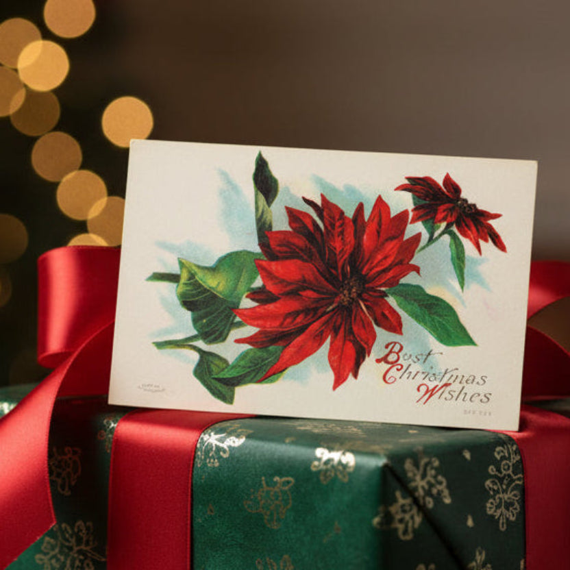 Christmas gift wrapped in green paper with red ribbon and antique poinsettia postcard gift topper.