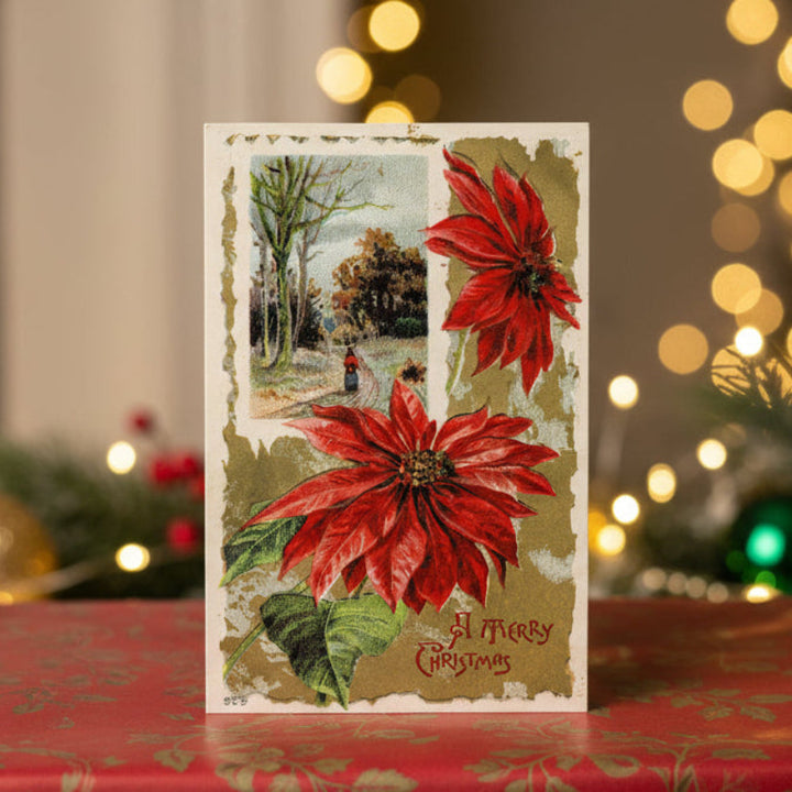  1913 Poinsettias Frame a Holiday Stroll Vintage Christmas Postcard as gift topper.