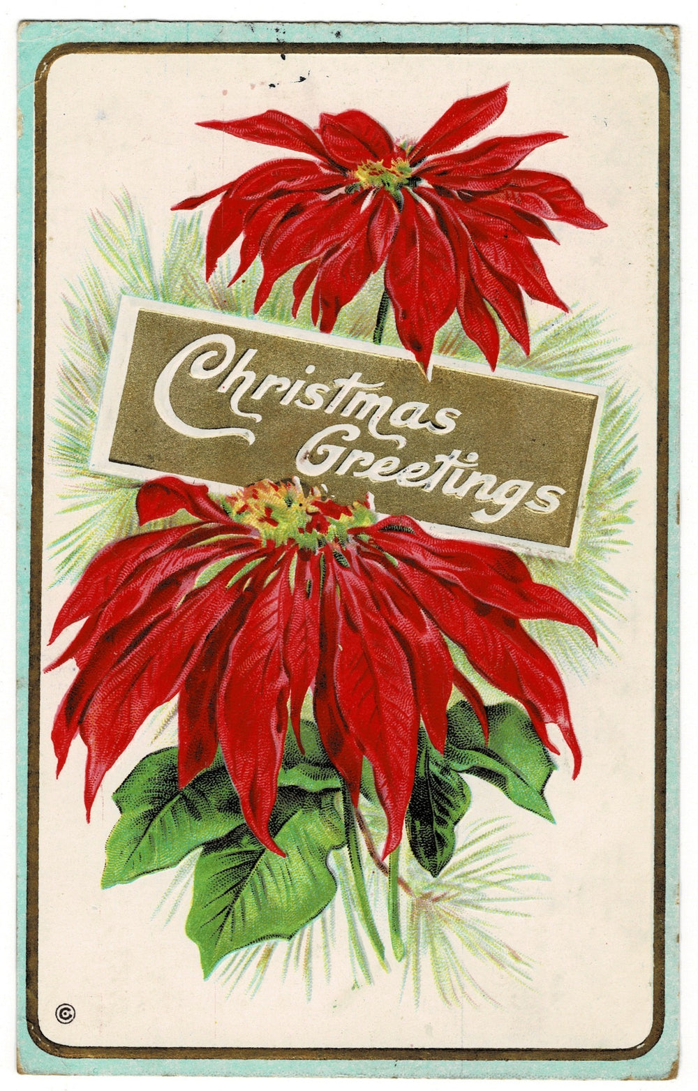    1913 Christmas Greetings Among Poinsettias Vintage Christmas Postcard.