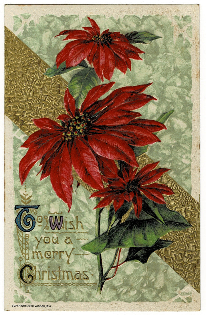 1910 We Winsch You A Merry Christmas Vintage Poinsettia Postcard.