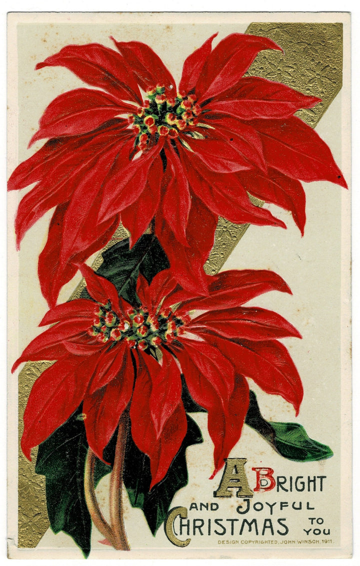 Vintage postcard.
