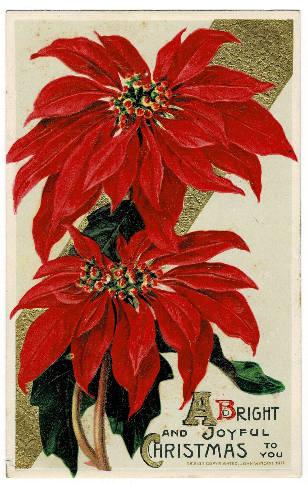 1911 Radiant Red Poinsettias by Winsch Vintage Christmas Postcard.