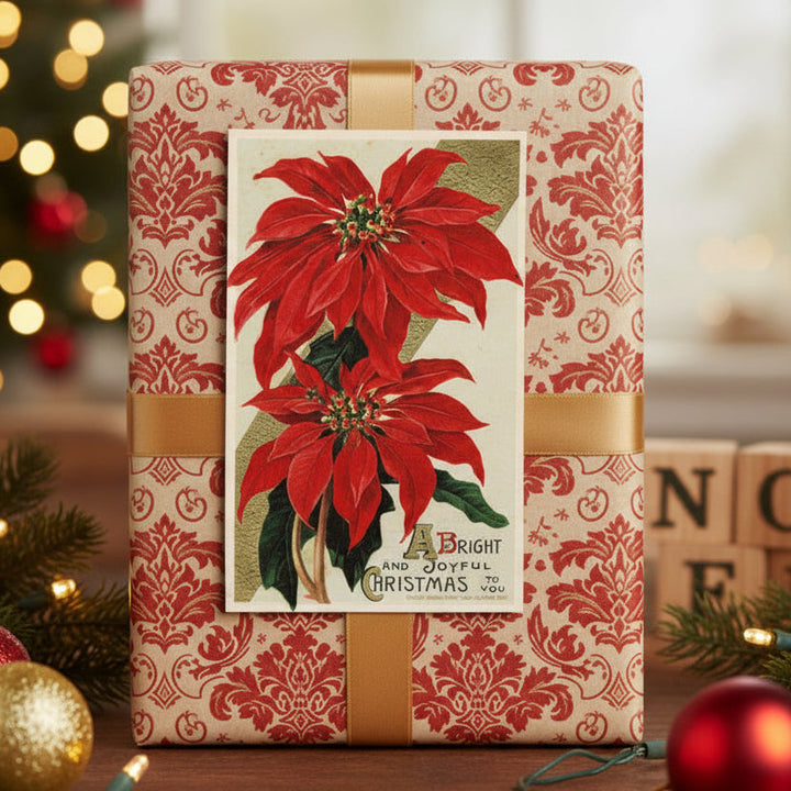 1911 Radiant Red Poinsettias by Winsch Vintage Christmas Postcard, shown as gift topper.