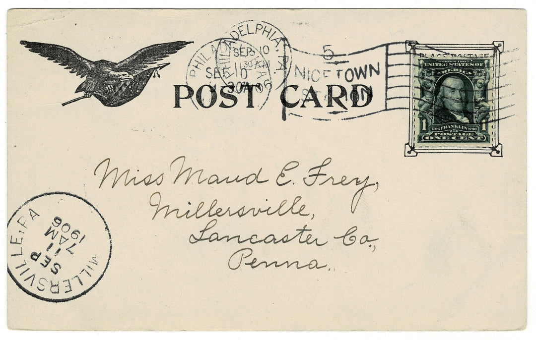 Vintage Postcard.