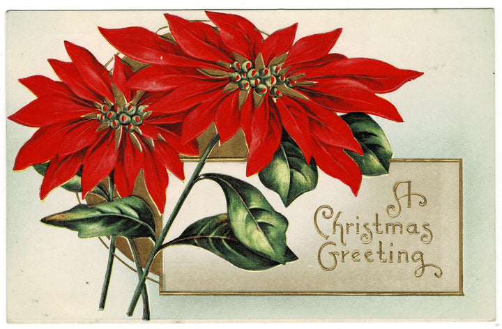 Vintage postcard.