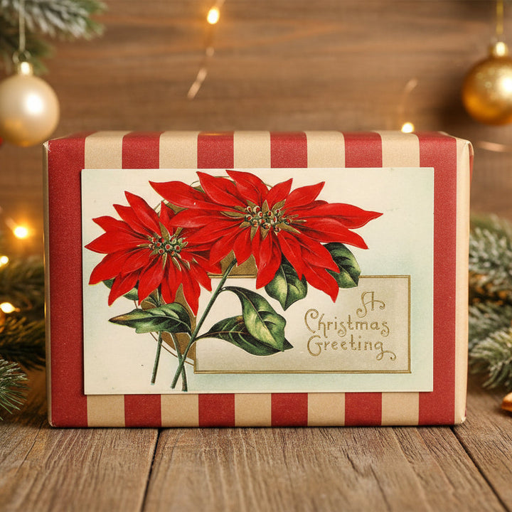 1911 Holiday Poinsettia in Bloom Vintage postcard  shown as holiday decor, gift topper.
