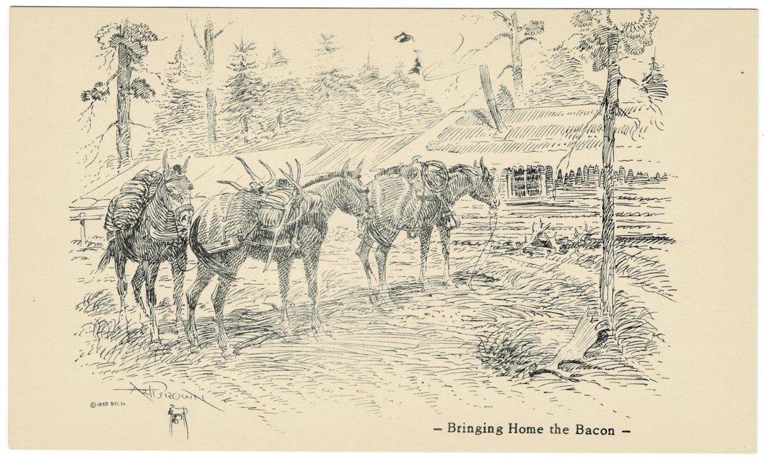 Vintage postcard.