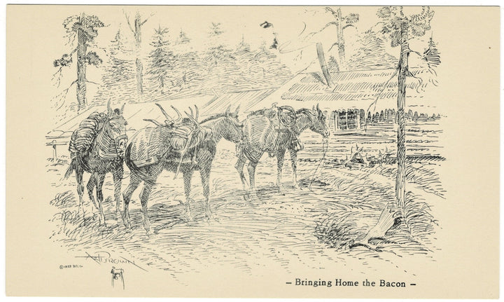 Vintage postcard.