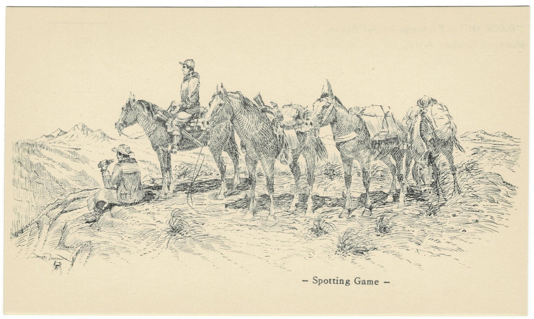 Vintage postcard.