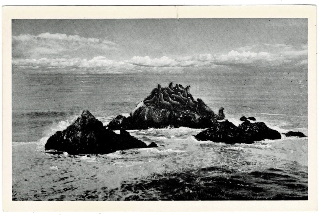 Vintage postcard.