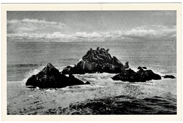 Vintage postcard.