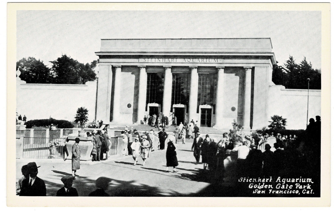 Vintage postcard.