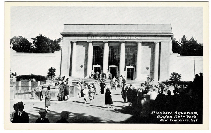 Vintage postcard.