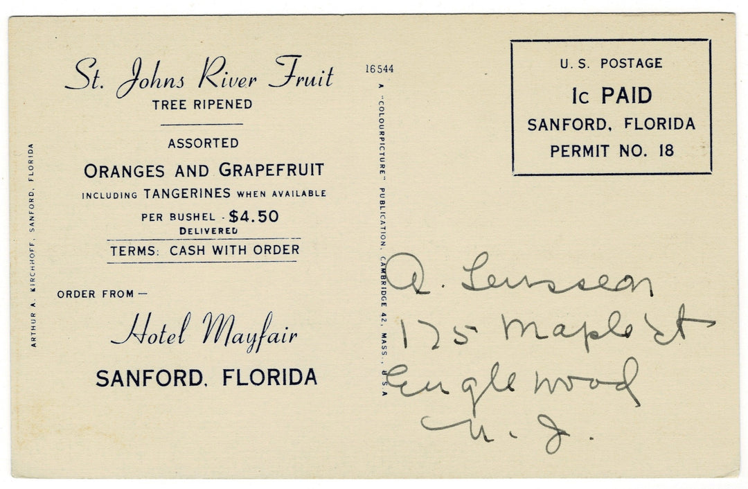 Vintage postcard.
