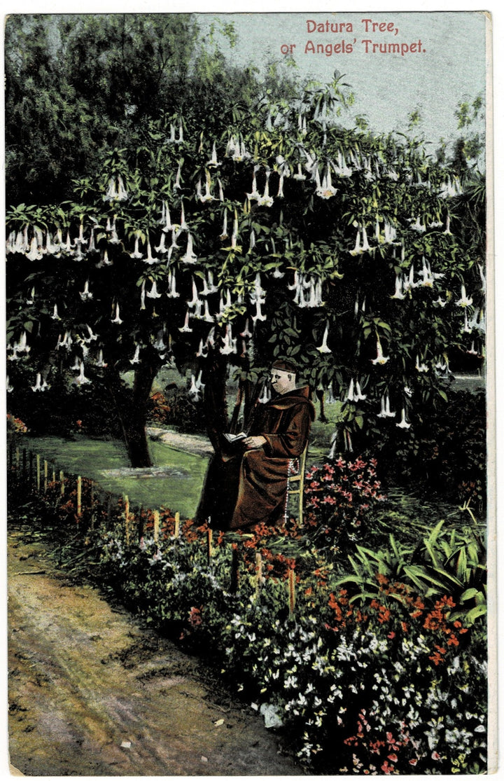 Vintage postcard.