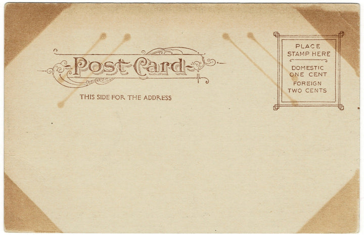 1900s River Drive Philadelphia Pennsylvania Vintage Postcard UDB, back.