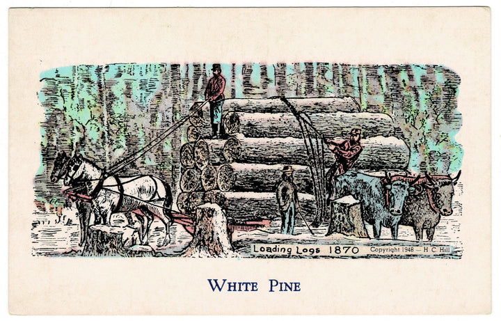Vintage postcard.