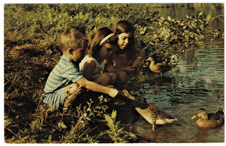 Vintage postcard.