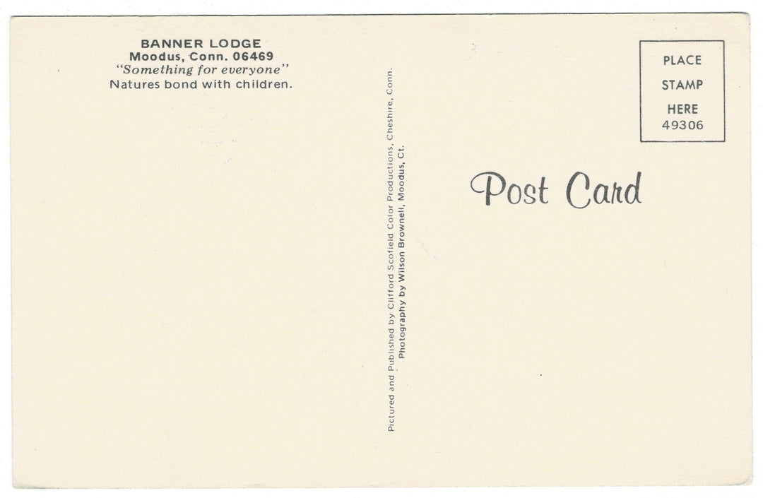 Vintage postcard.