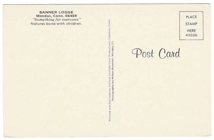 Vintage postcard.