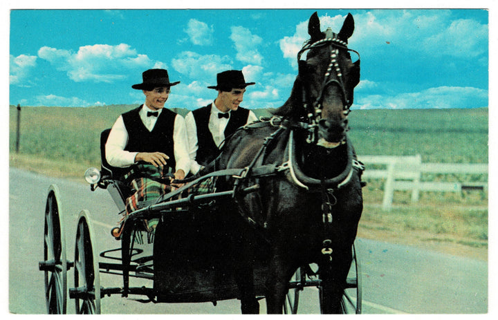 Vintage postcard.