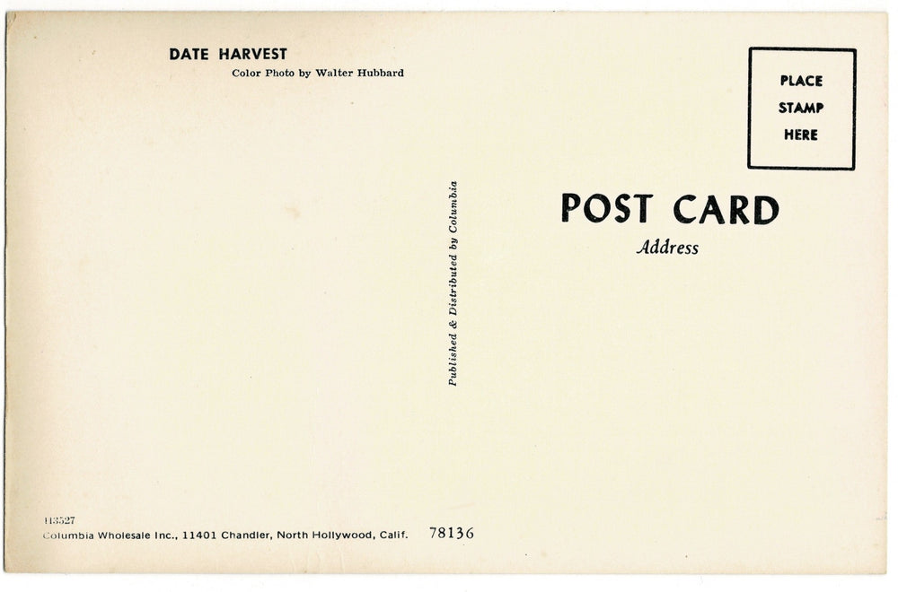 1950-60 Date Farming Harvest in California Vintage Postcard, back view.