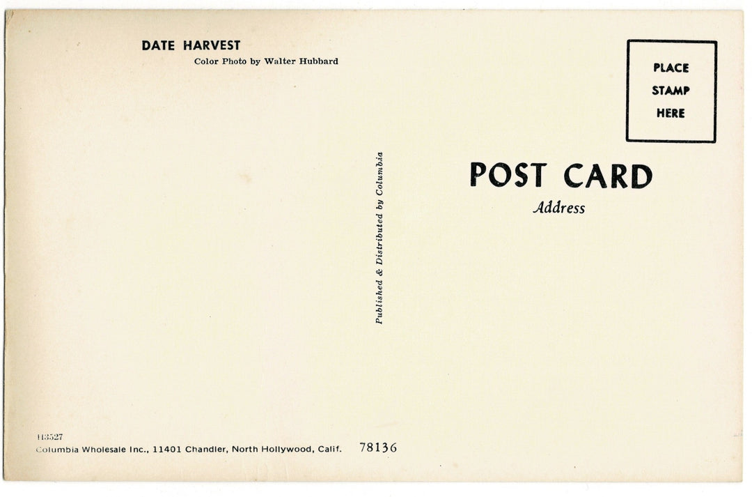 1950-60 Date Farming Harvest in California Vintage Postcard, back view.