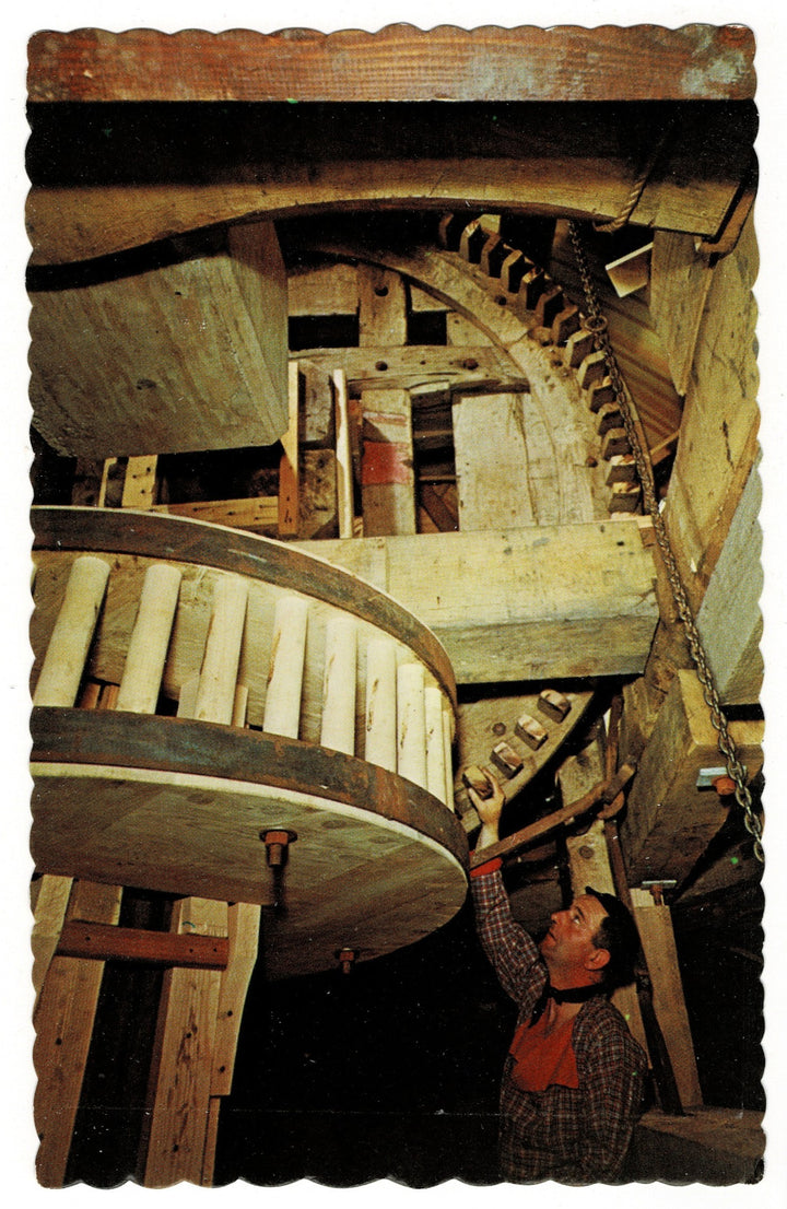 1950s-60 De Zwaan Windmill in Holland, Michigan Postcard.