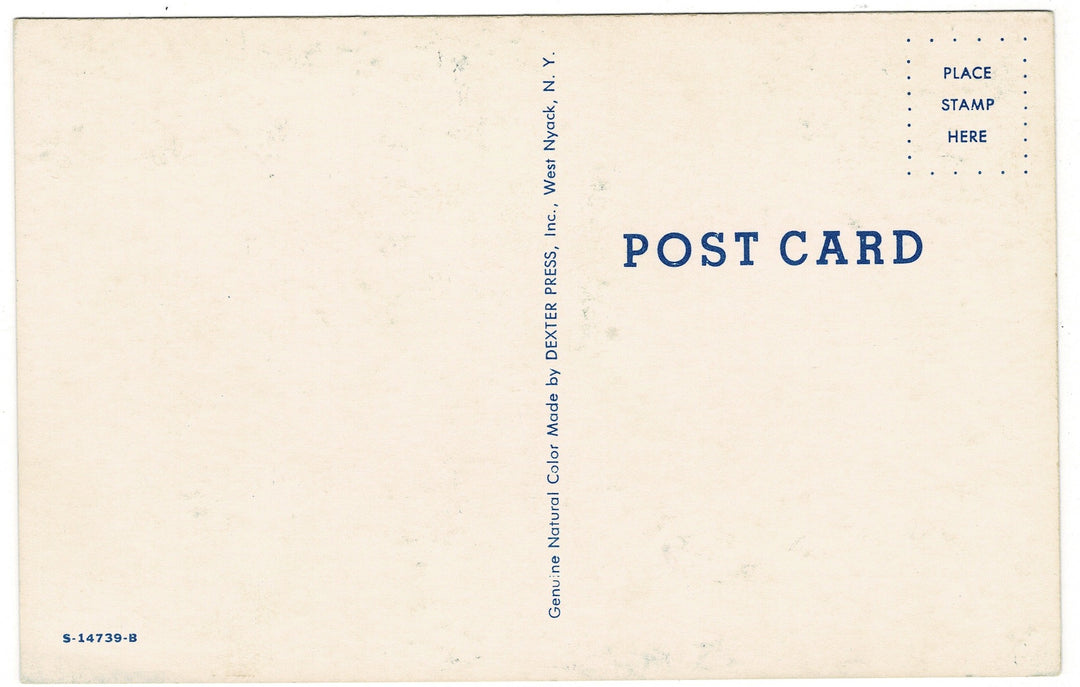 1958 Man Fishing on Beach Surf Casting Vintage Postcard, back view.