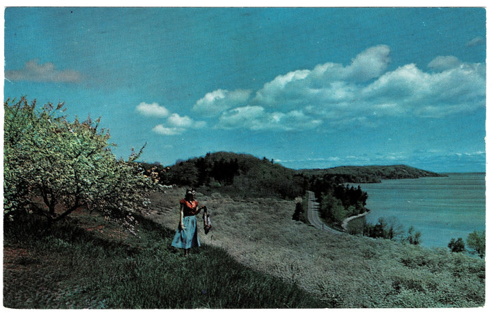 1960 Grand Traverse Bay Region of Michigan Vintage Postcard.