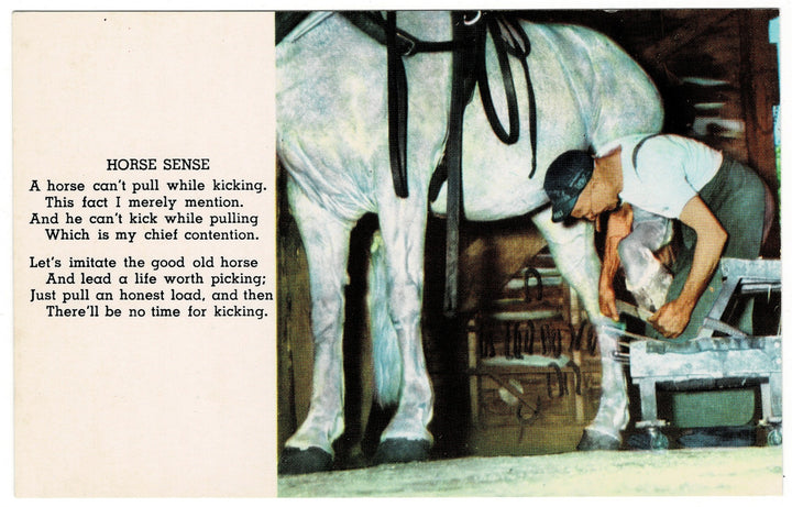 Man shoeing a horse with text about horse sense on1967 Horse Sense Postcard Mackinac Island Michigan Vintage Postcard.